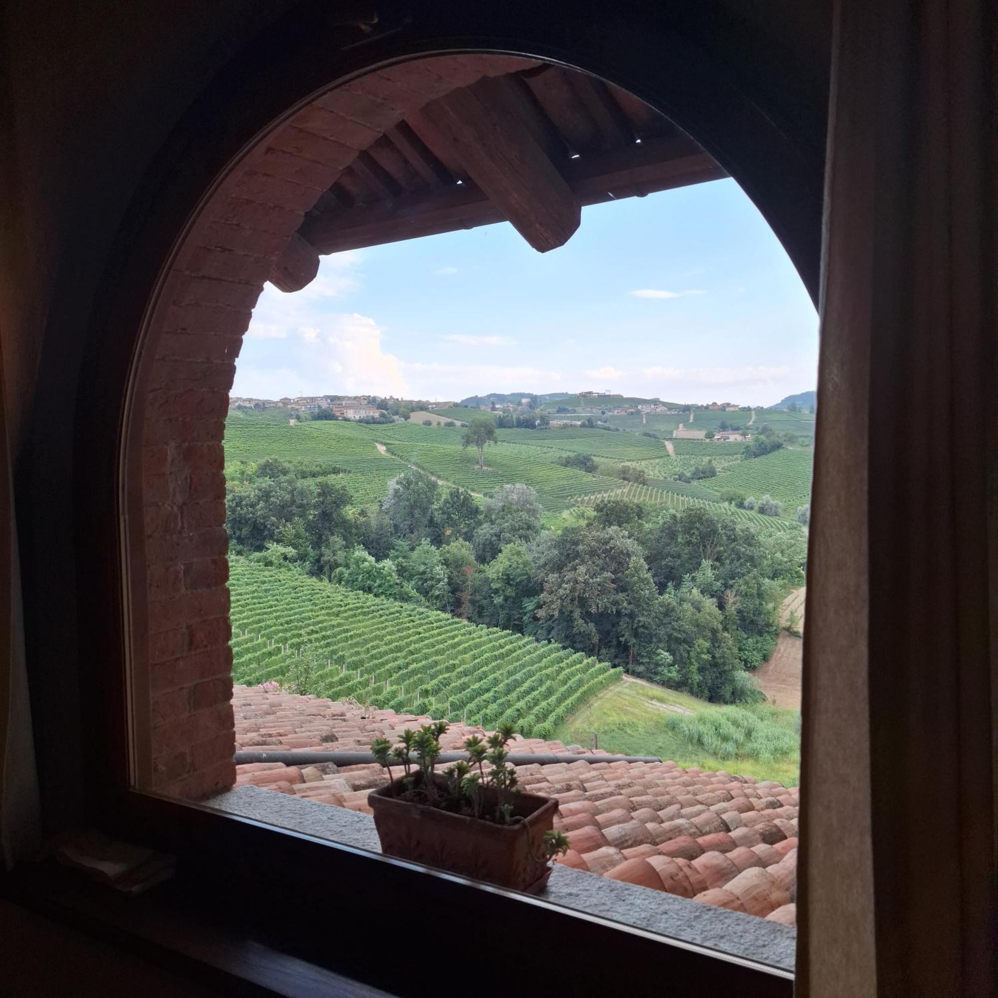 קסטיליונה פאלטו Tenuta Montanello B&B מראה חיצוני תמונה