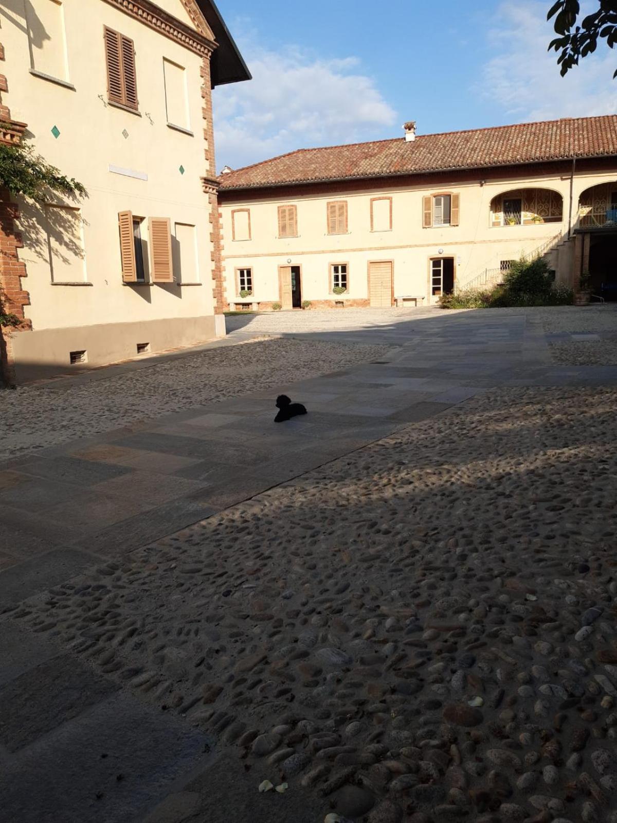 קסטיליונה פאלטו Tenuta Montanello B&B מראה חיצוני תמונה