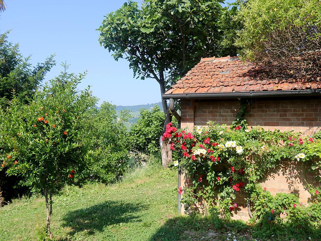 קסטיליונה פאלטו Tenuta Montanello B&B מראה חיצוני תמונה
