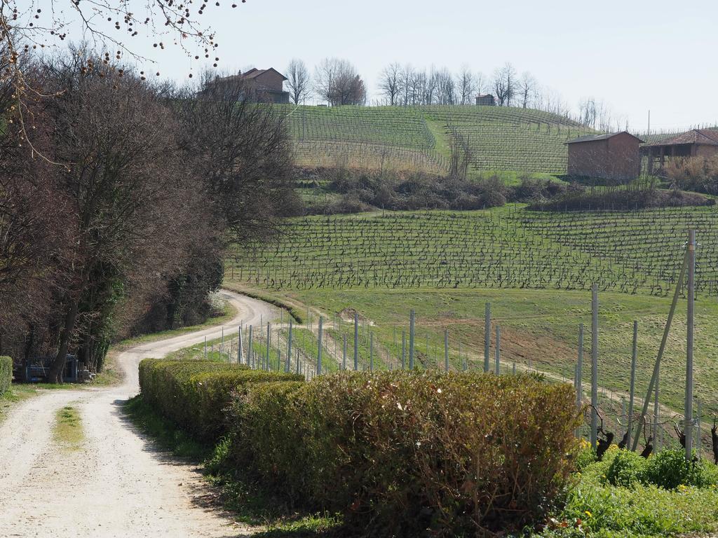 קסטיליונה פאלטו Tenuta Montanello B&B מראה חיצוני תמונה
